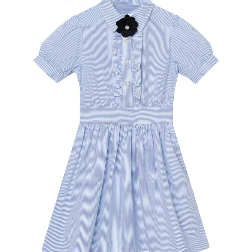 Ariel (light blue stripe)