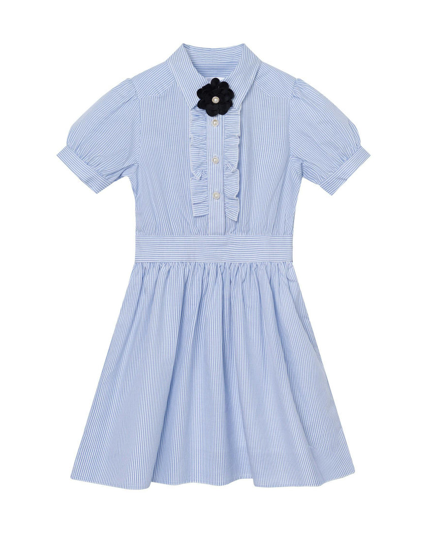 Ariel (light blue stripe)