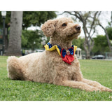 Disney Snow White Collar, Blue
