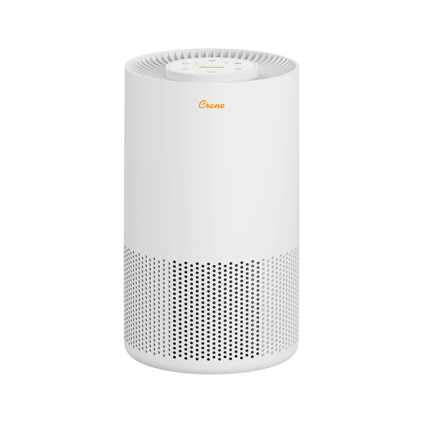 True HEPA Air Purifier for Nursery, Up to 250 Sq Ft, Quiet Sleep Timer