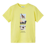 Yellow 2pc Animal Graphic T-Shirt Set