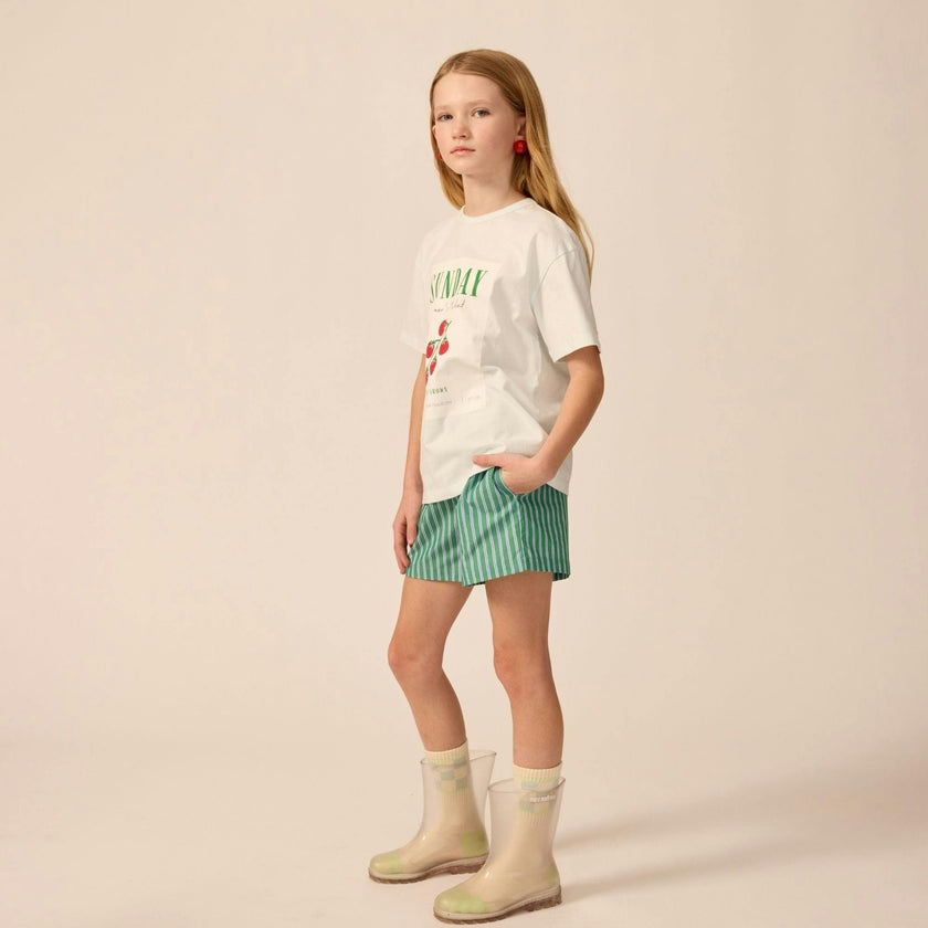 Avenue Shorts in Cucumber Stripe