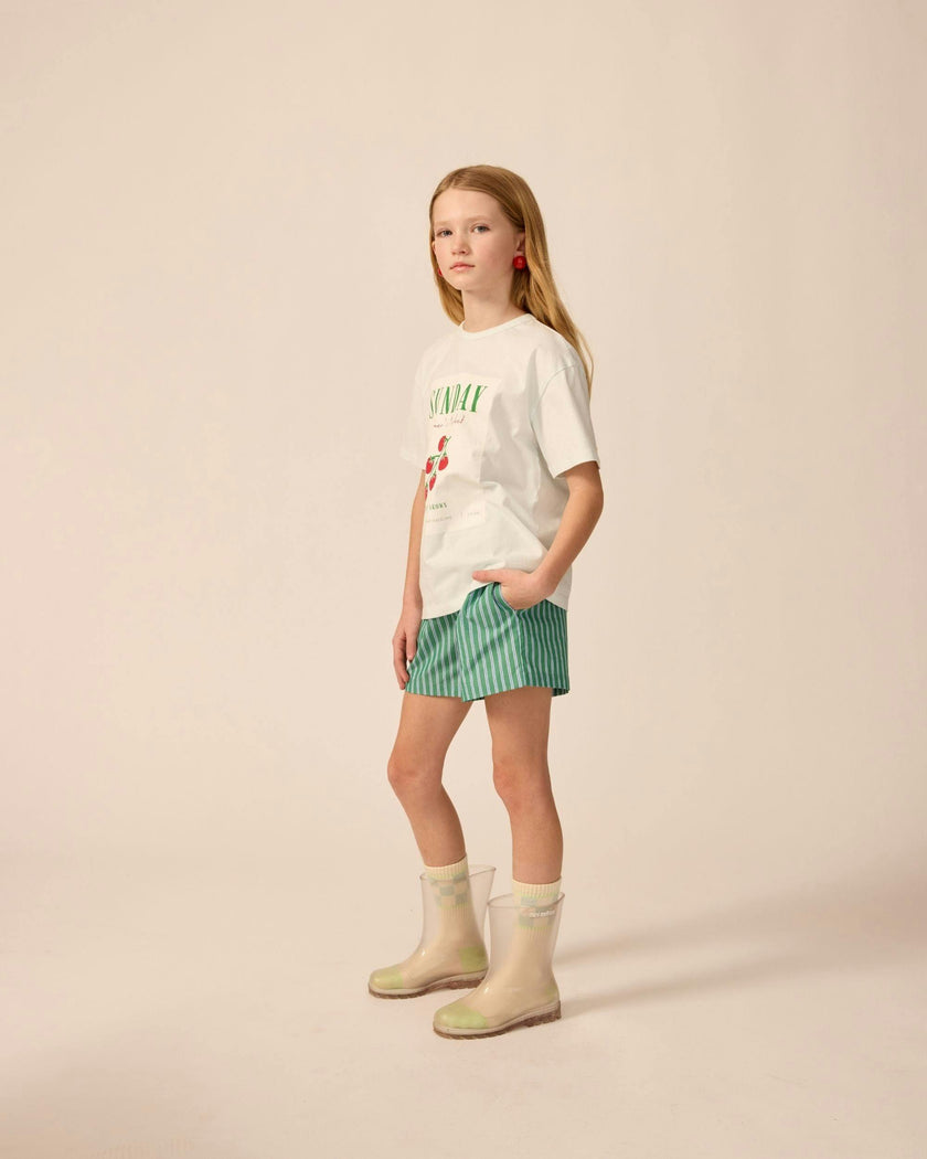 Avenue Shorts in Cucumber Stripe