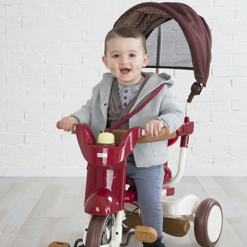 3-in-1 Folding Tricycle