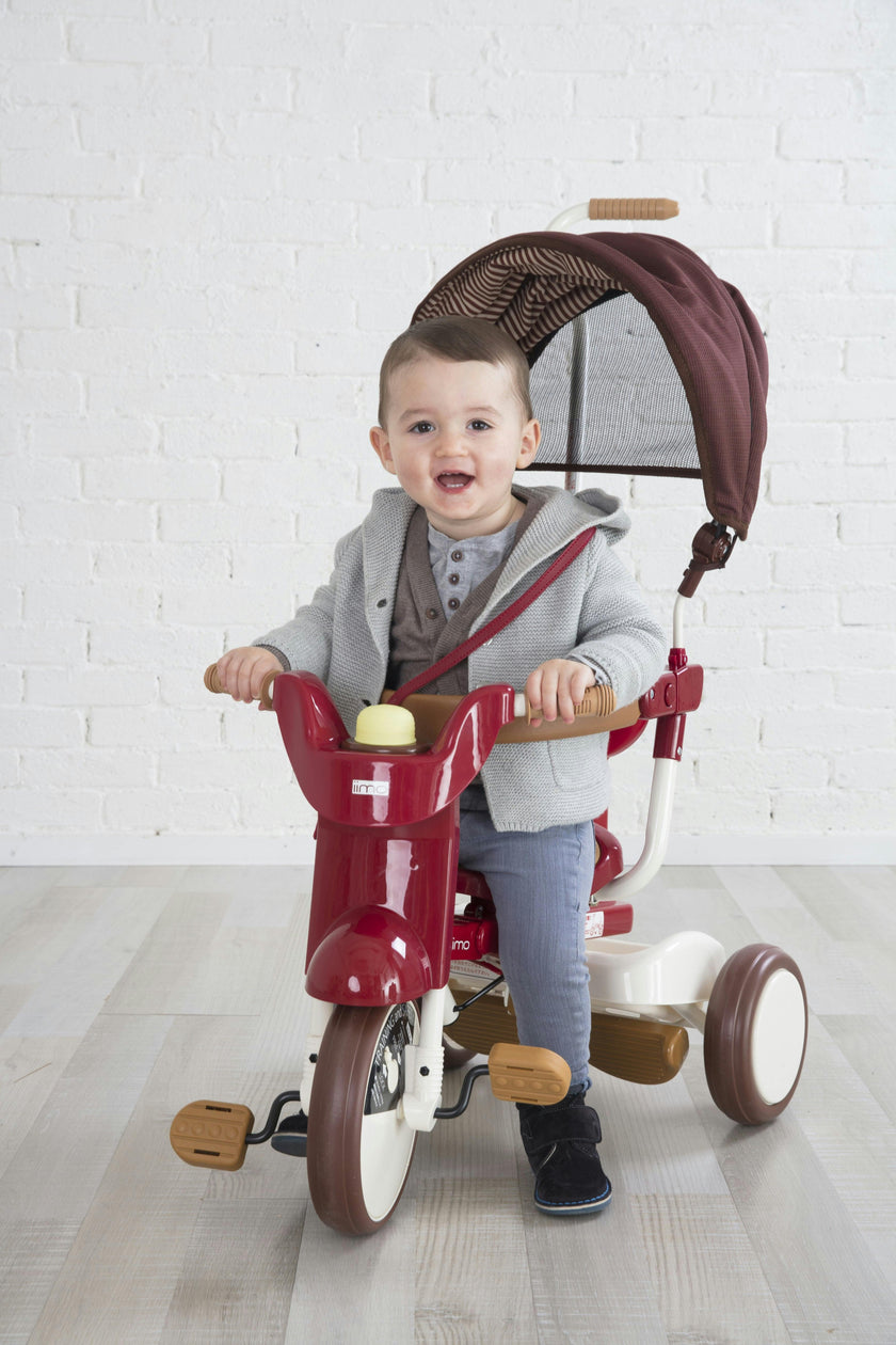 3-in-1 Folding Tricycle