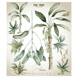Jungle Botanics Plants Wall Decal Set