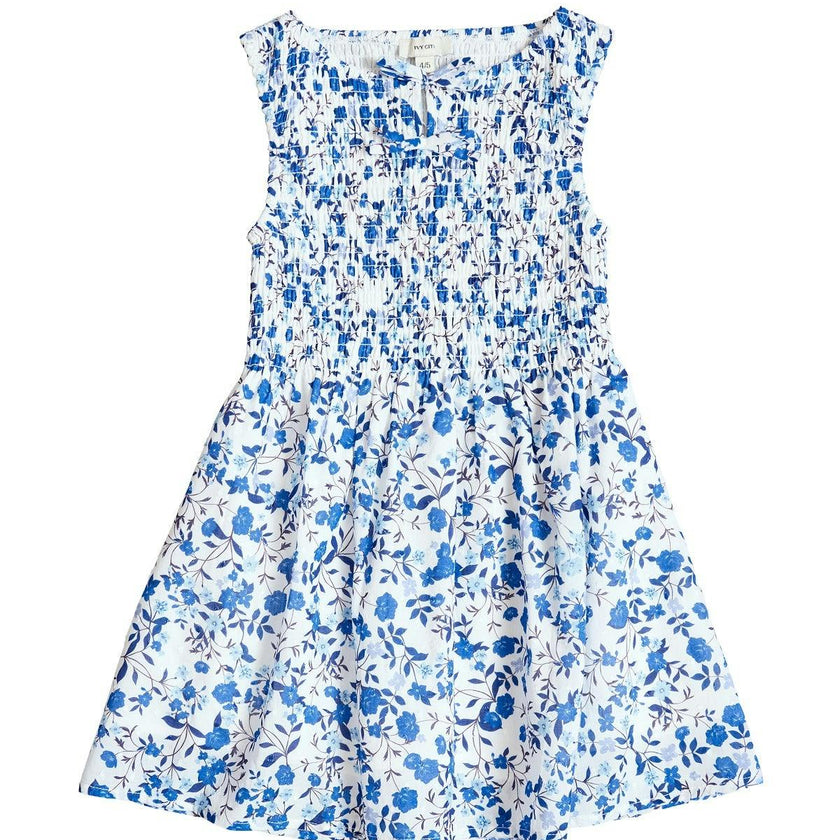 Mini Ana Dress in Ditsy Cobalt Floral