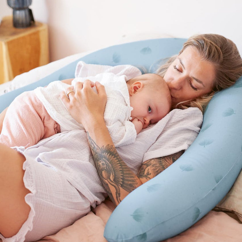 B.Love U-Shape Pregnancy Pillow