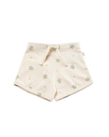 Blake Shorts in Turtles