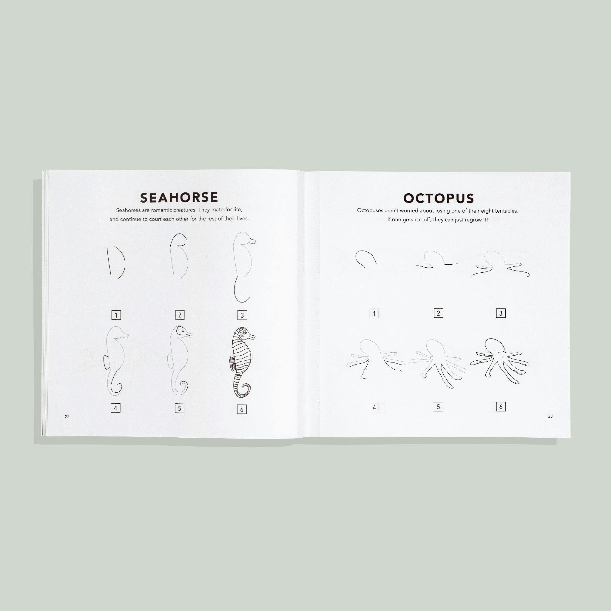How to Draw Under the Sea for Kids