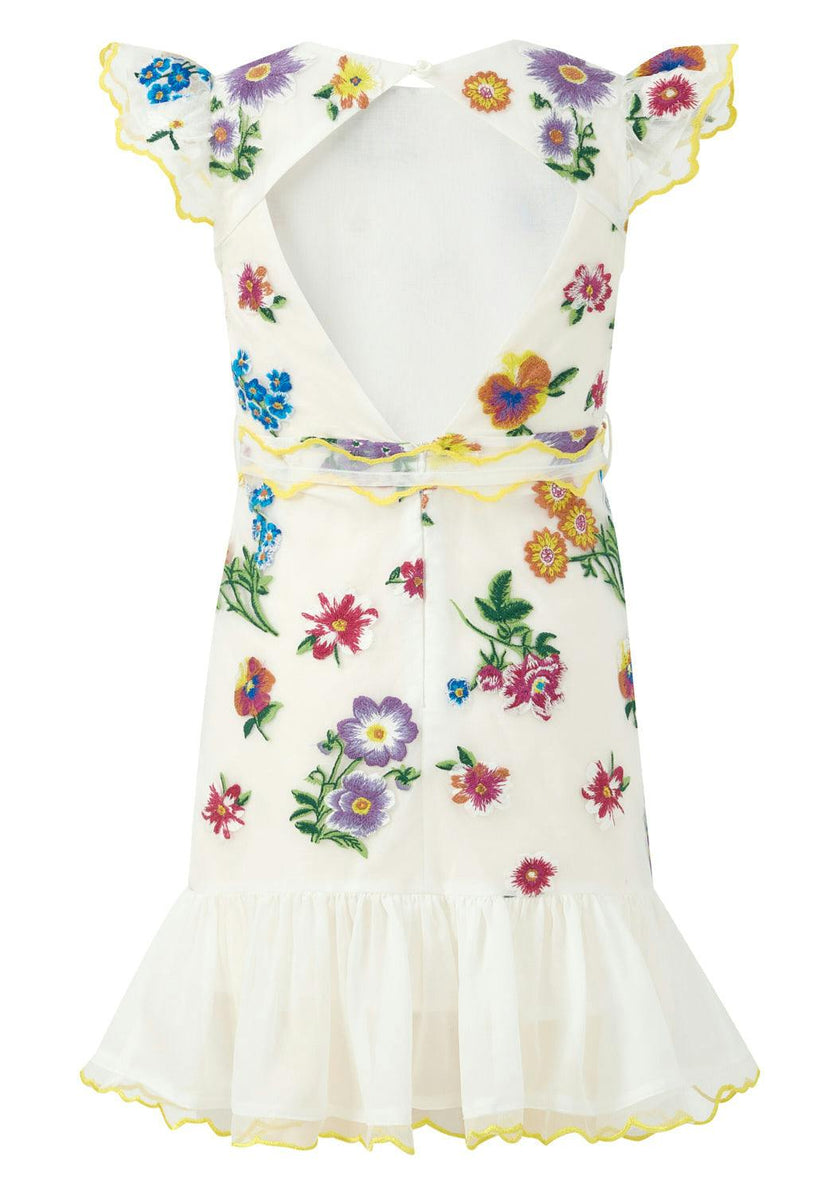 Carly Embroidered Mini Dress