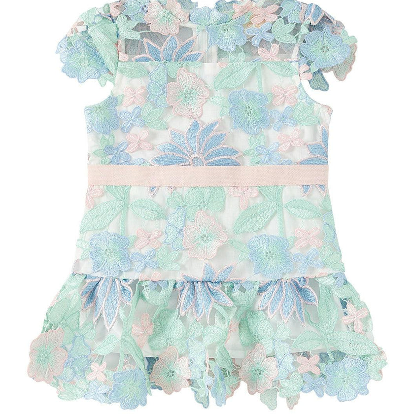Addison Embroidered Mini Dress (Baby)
