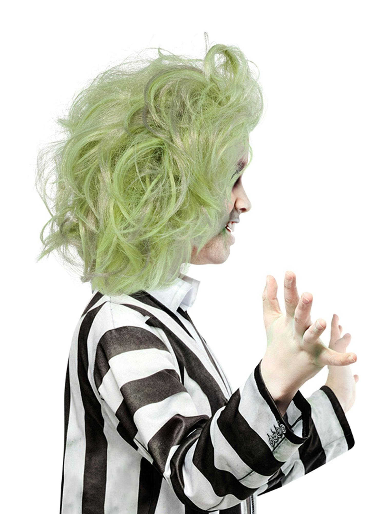 Boys' Beetlejuice 2 Wig