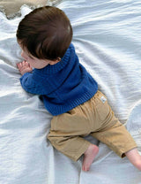 Lined Corduroy Pants Mushroom