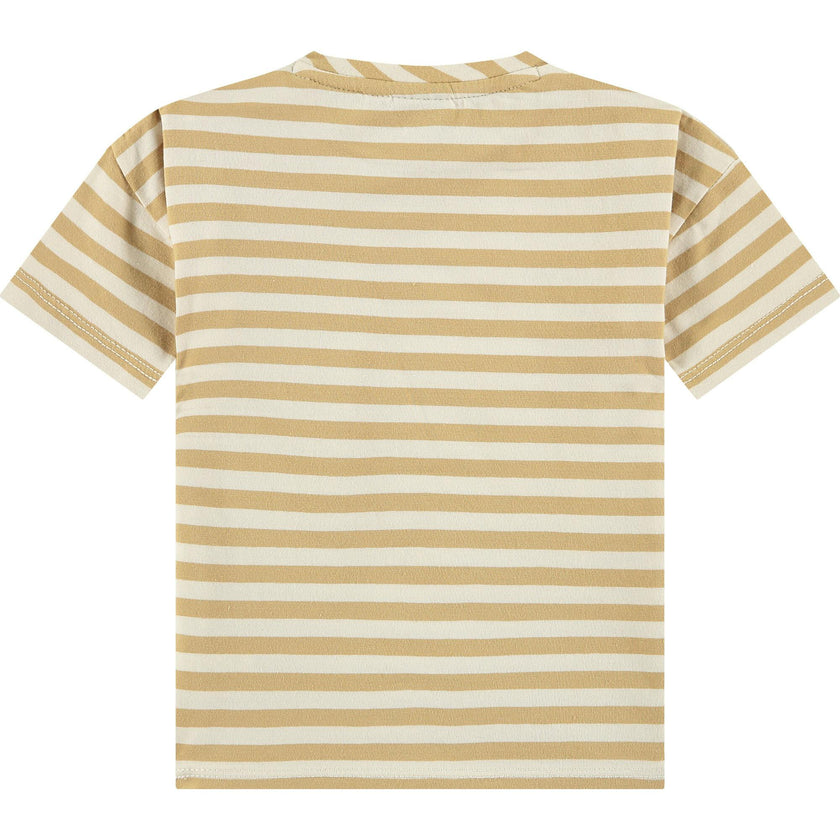 Striped Short Sleeve T-Shirt