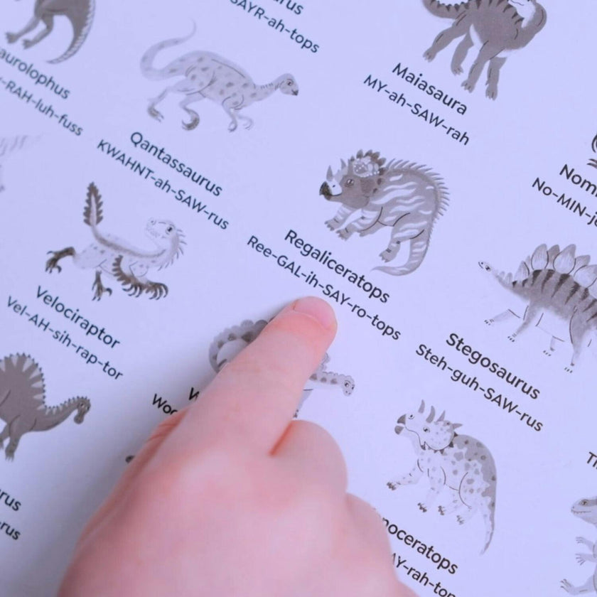Bingo - Dinosaurs