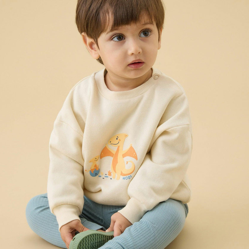 Pterodactyl Dinosaur Oversized Sweater