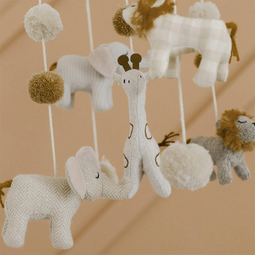 Celing Hanging