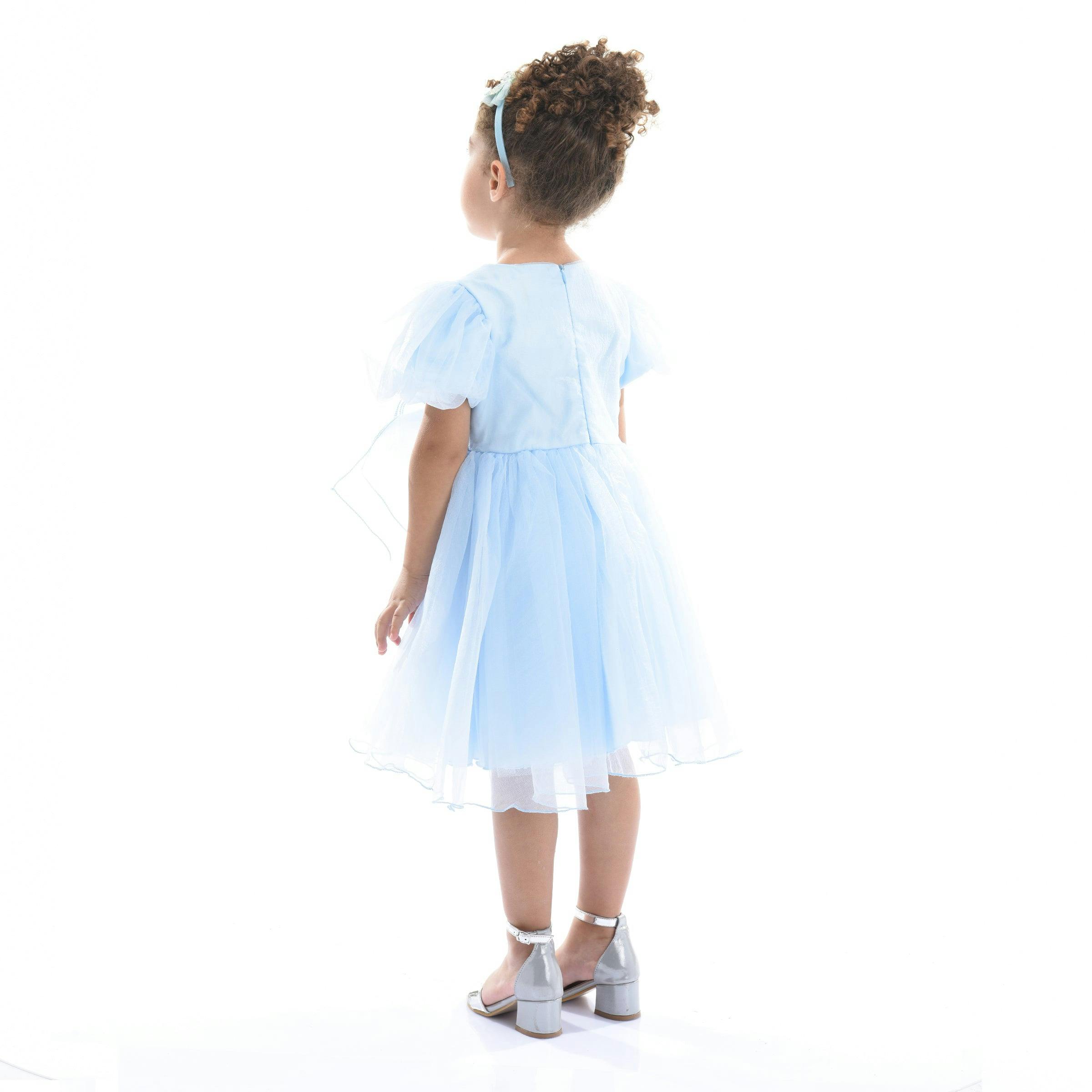 Blue Bow Organza Dress