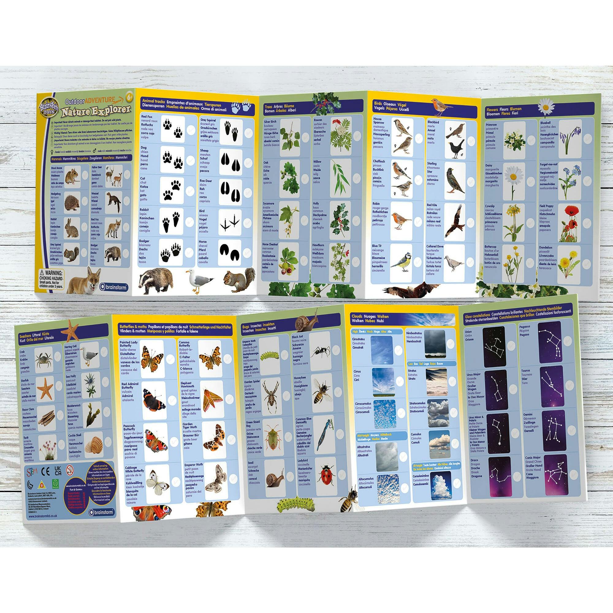 Outdoor Adventure: Nature Explorer