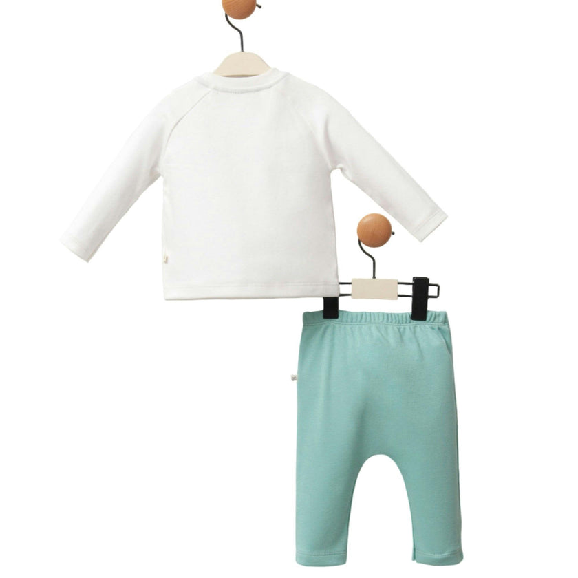 Teal Tiger Outfit Set
