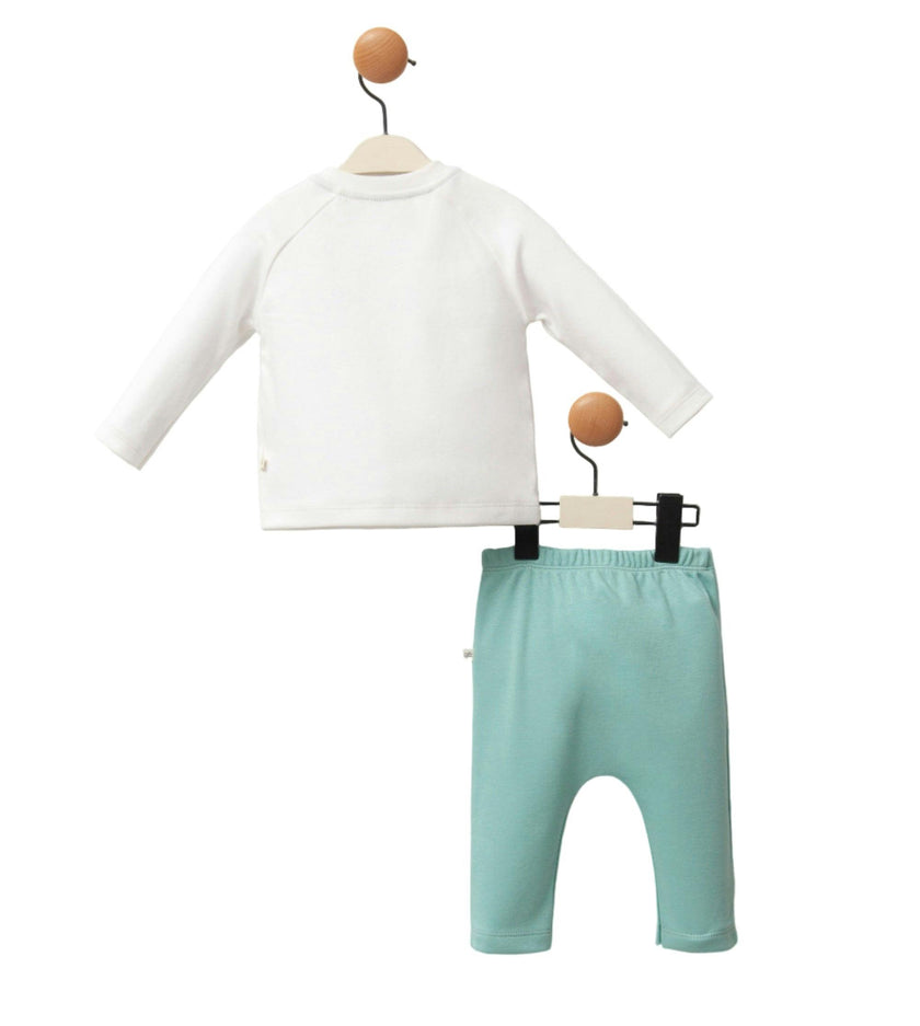 Teal Tiger Outfit Set