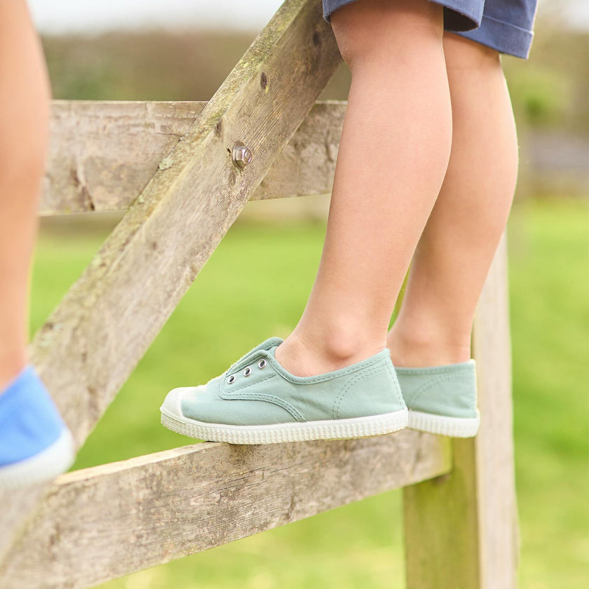 Hampton Canvas Plum Plimsolls in Olive