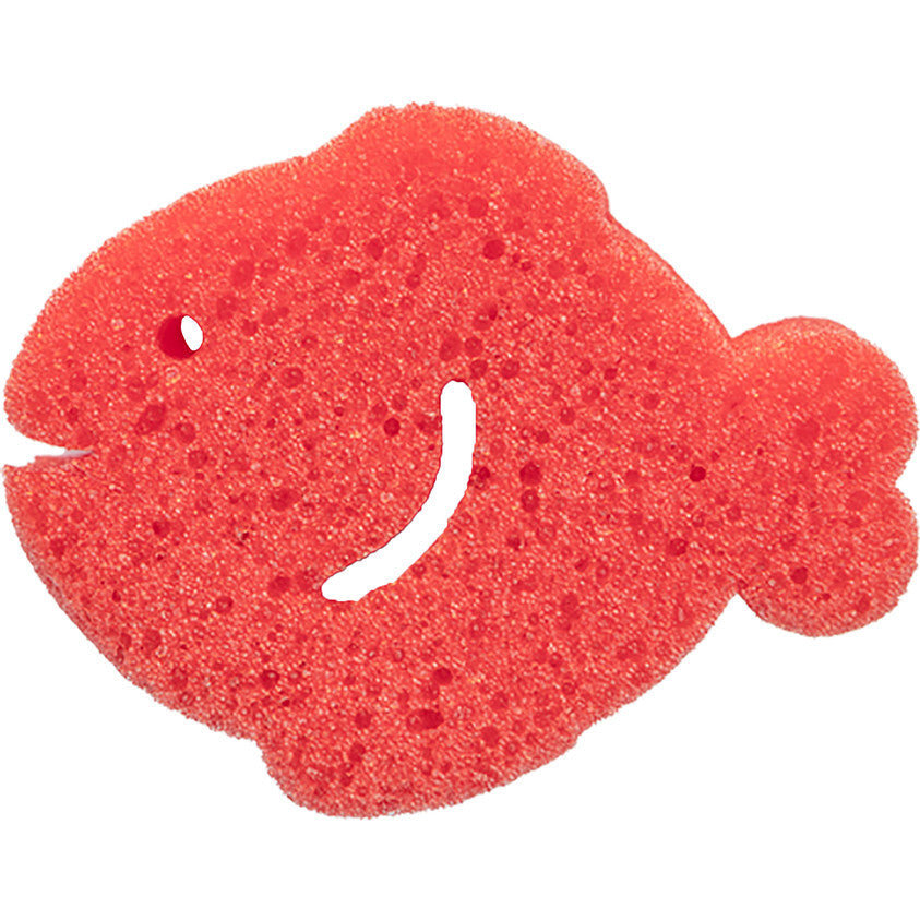 Sea Animals
