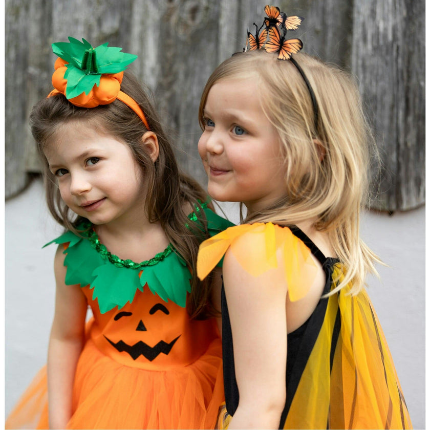 Butterfly Twirl Dress with Wings & Headband