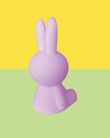 Mr Maria Miffy Colourful Surprise Bundle of Light
