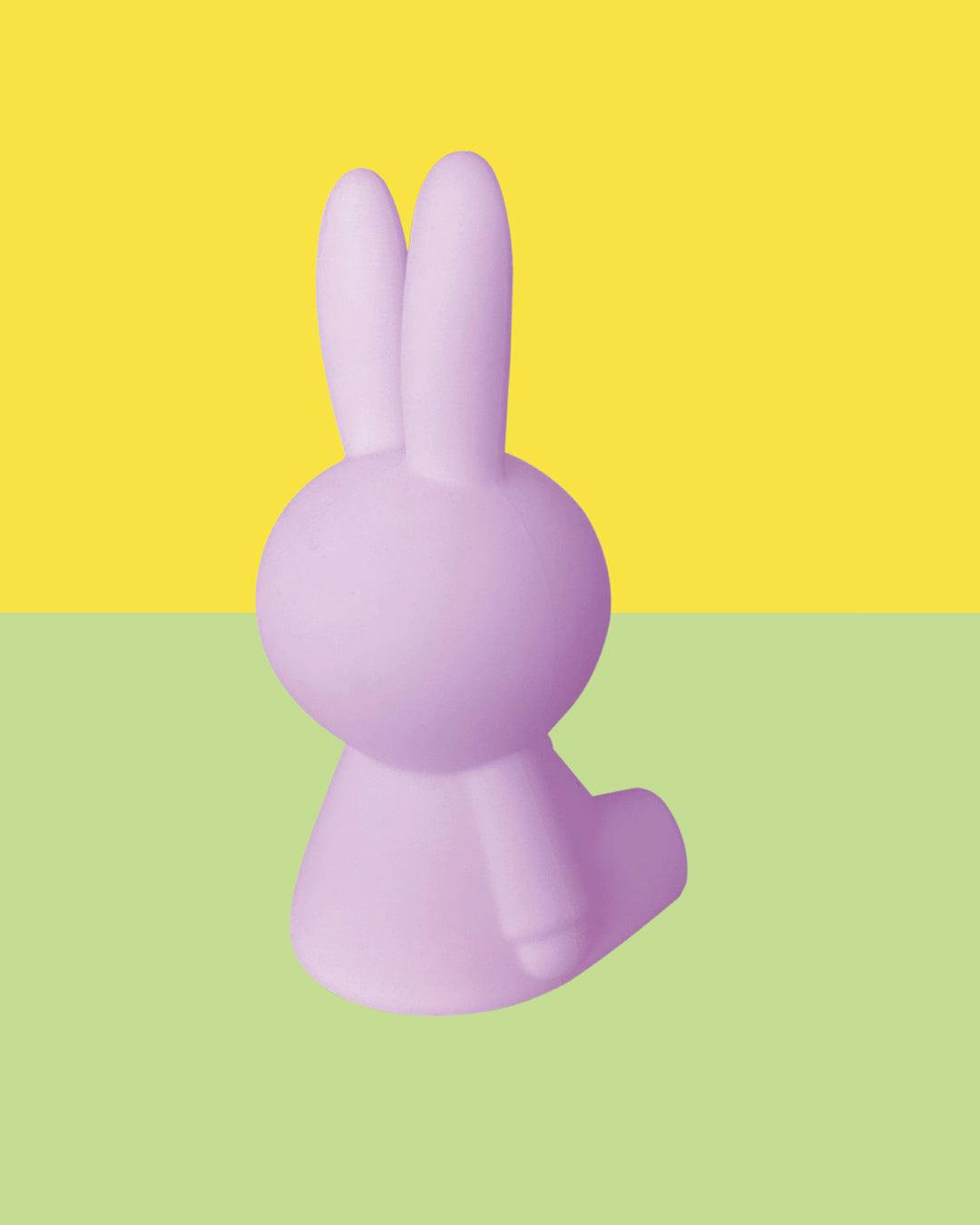Mr Maria Miffy Colourful Surprise Bundle of Light