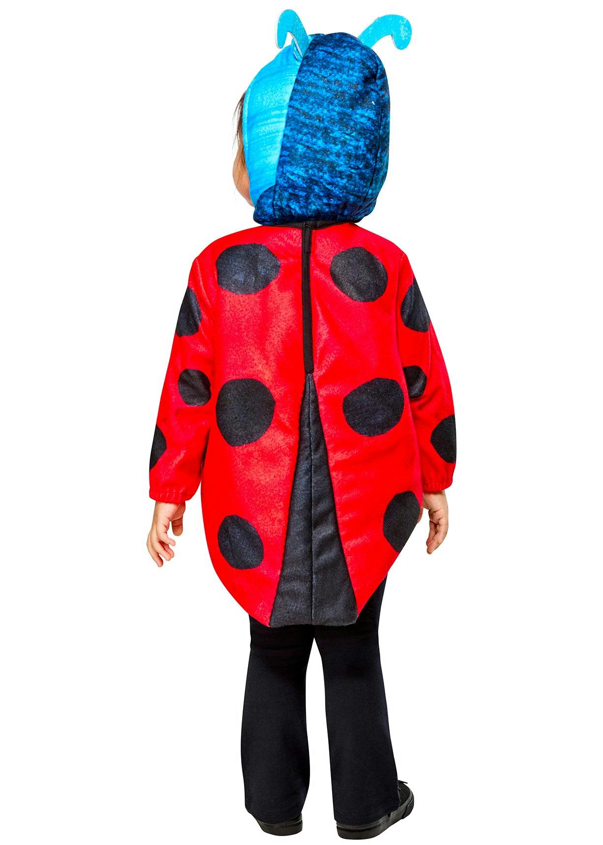 The Grouchy Ladybug Costume for Babies and Toddlers