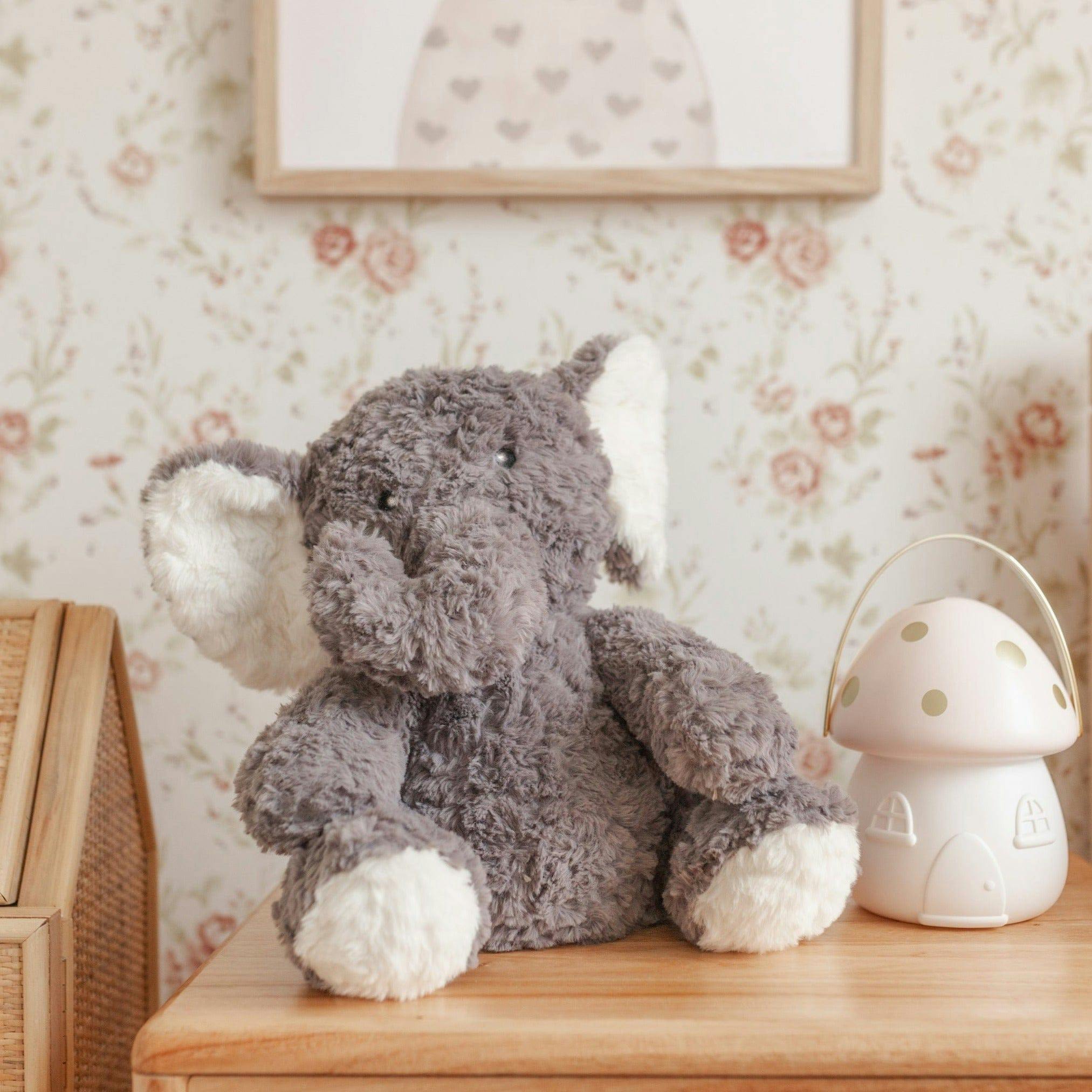Eleanor The Weighted Elephant