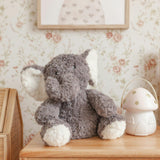 Eleanor The Weighted Elephant