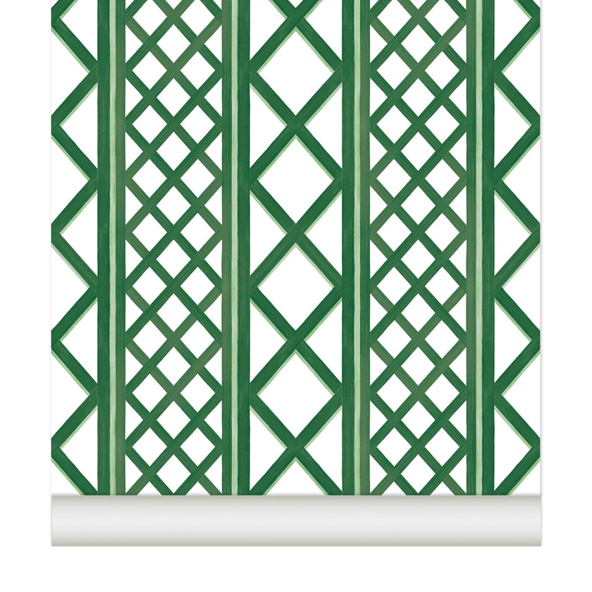 Papier peint TREILLAGE coloris Vert