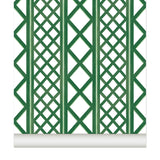 Papier peint TREILLAGE coloris Vert