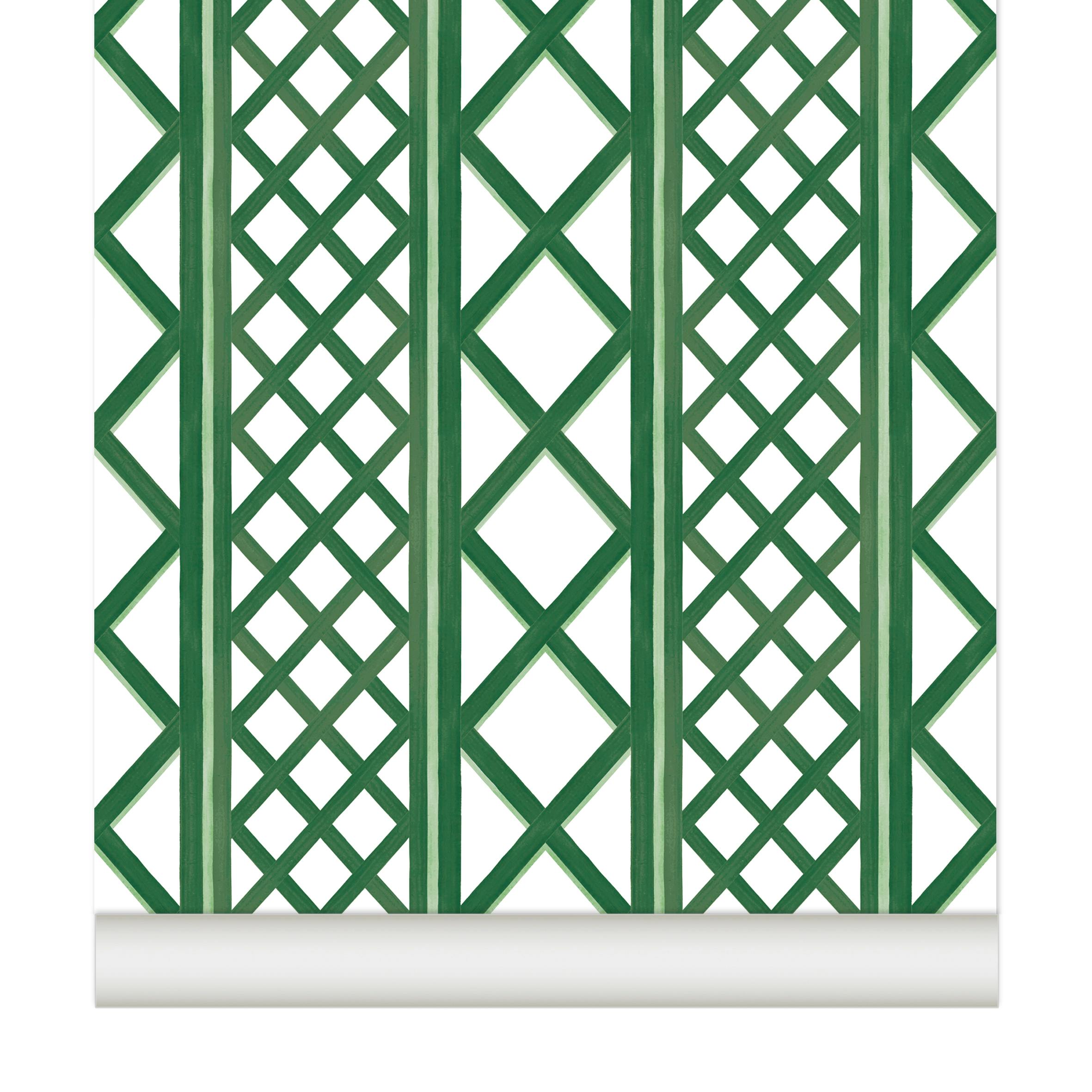 Papier peint TREILLAGE coloris Vert