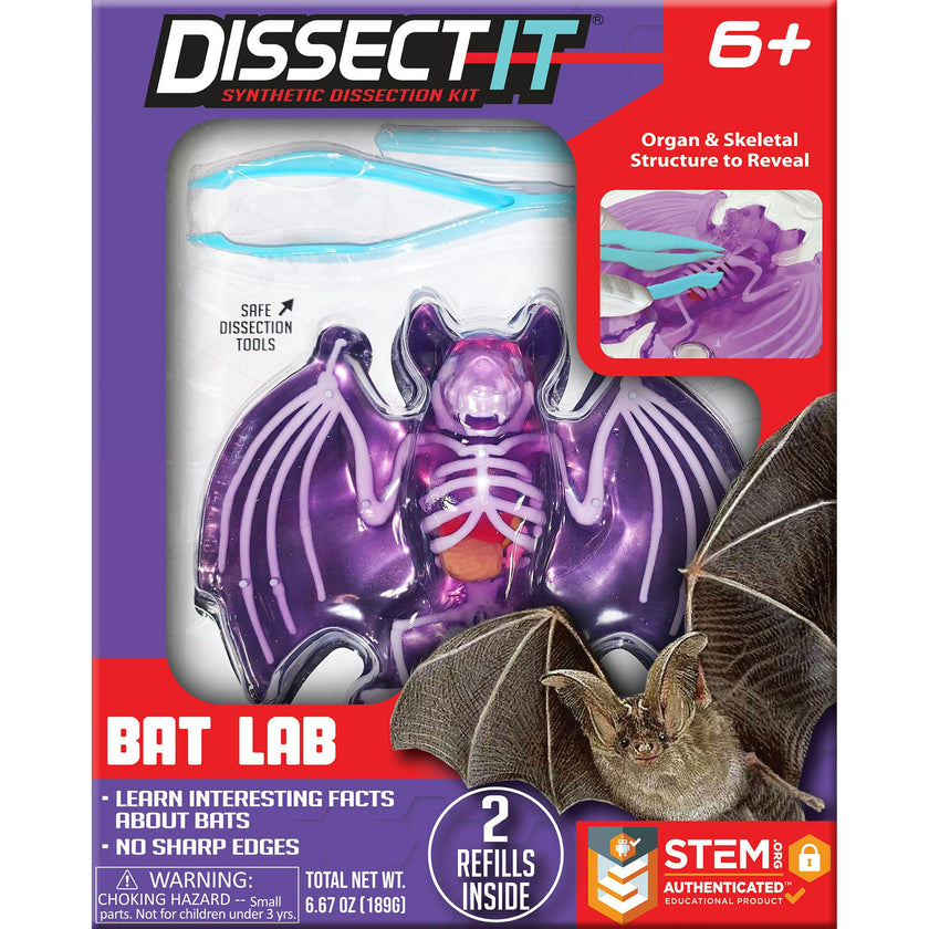 Dissect-It: Bat Lab