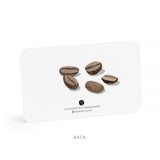 Set of 55 Little Notes®