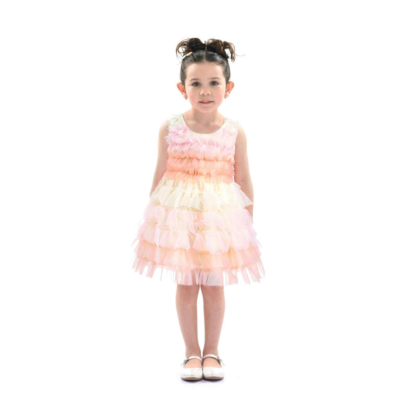 Pink Ruffle Layered Tulle Dress