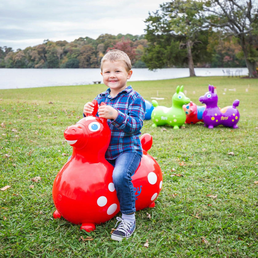 Rody Max with Pump