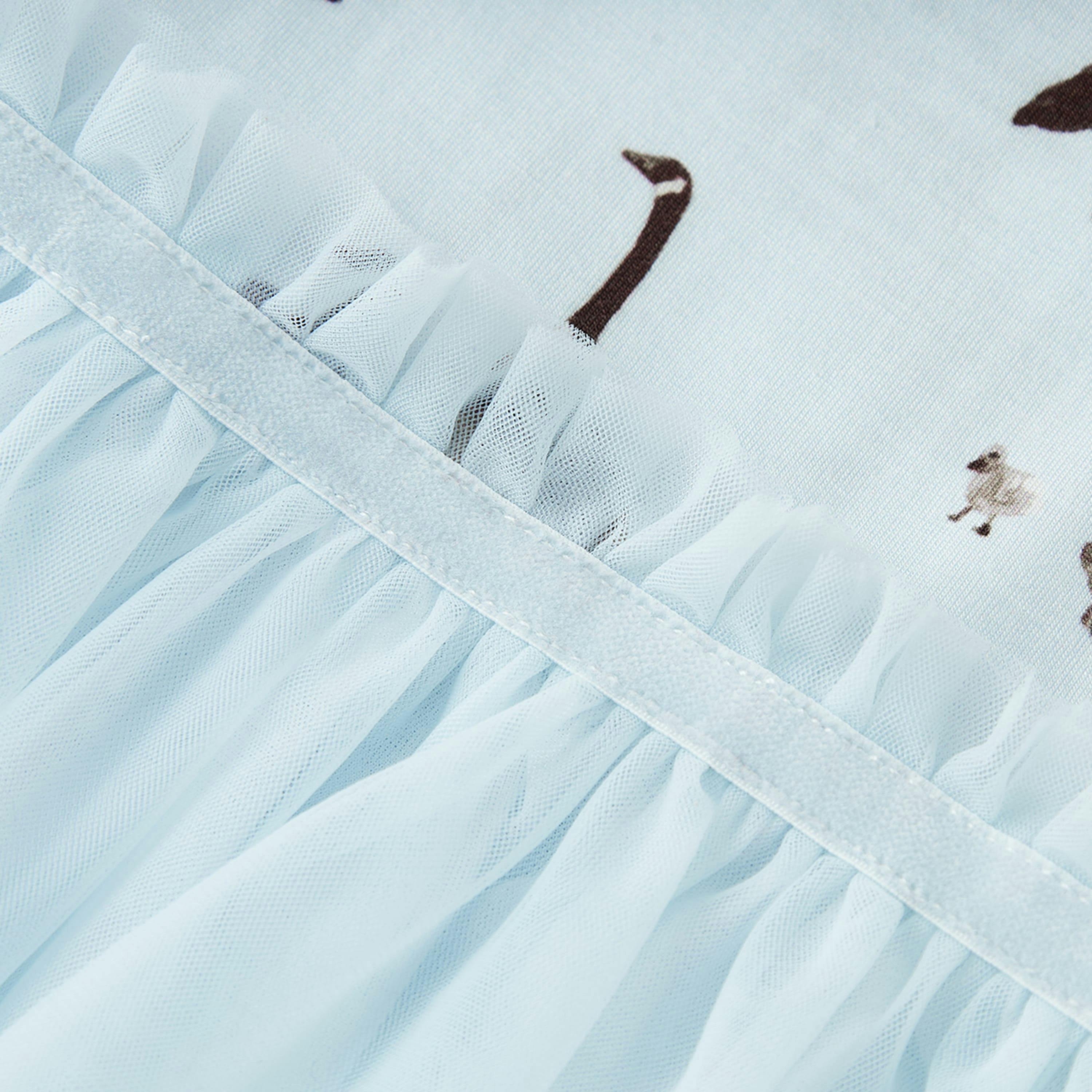 Goose Ballet Dress