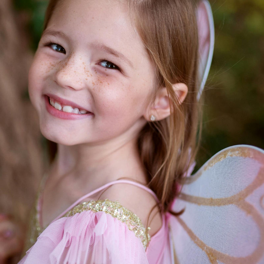 Sequins Butterfly Dress & Wings