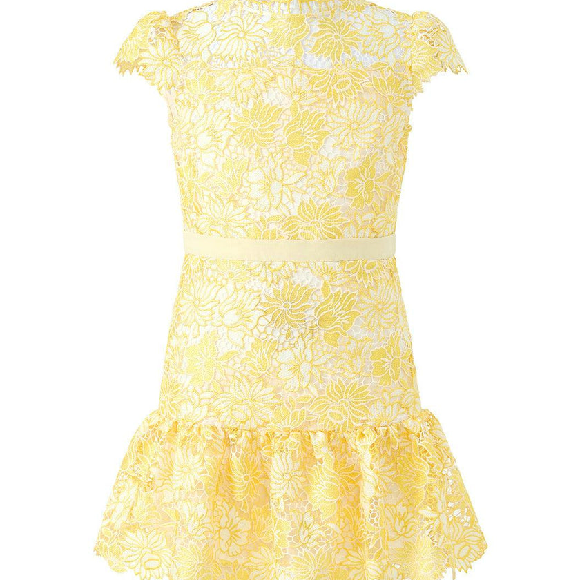Cassandra Embroidered Mini Dress