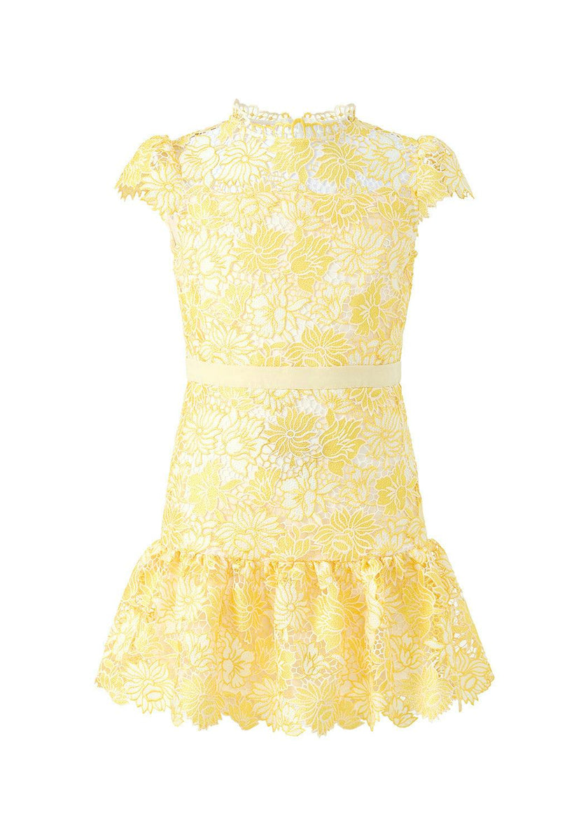 Cassandra Embroidered Mini Dress