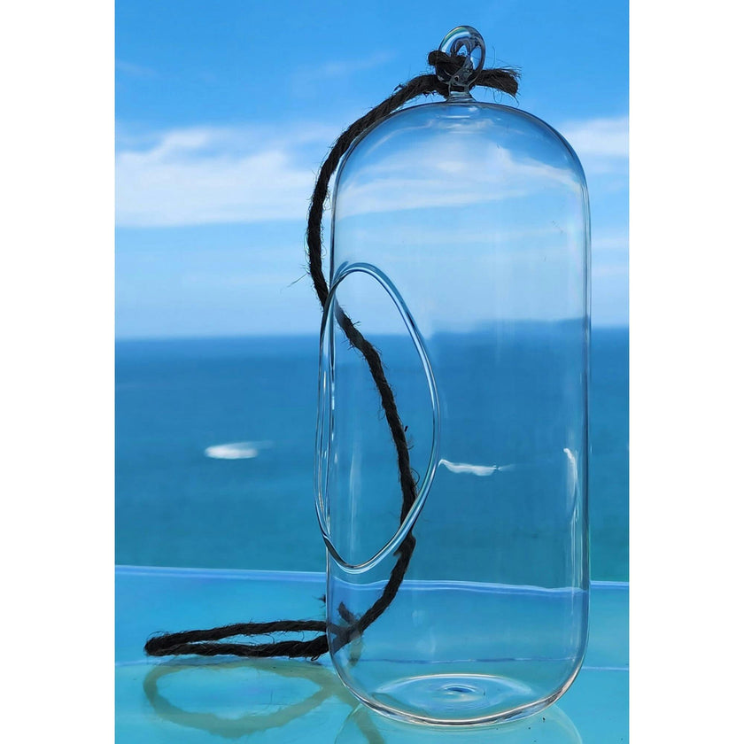 Glass Terrarium: Carefree Capsule - 2 Pack