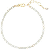 Alex Anklet