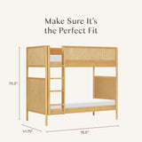 Bondi Cane Convertible Bunk Bed in Honey