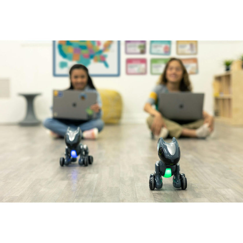 Pyxel The Coding Pet