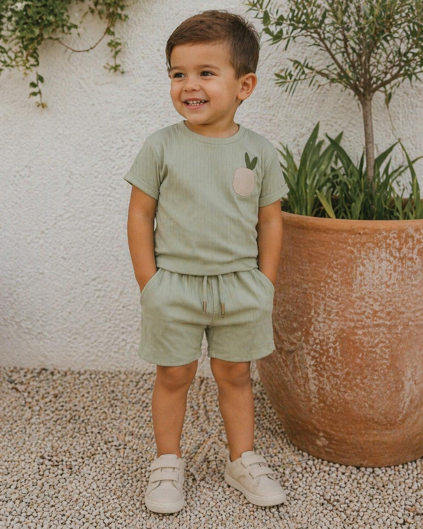 Boys Ribbed Berry Applique Tee & Short Set